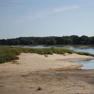 Elbe sandbank near Aken