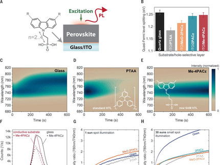 Figure 1 of Al-Ashouri Science 2021