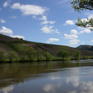 Moselle viticulture in the floodplain