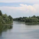 Rhein floodplain waters