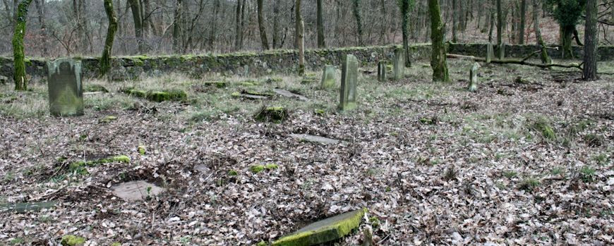 Zustand des Friedhofs in Trzemeszno Lubuskie im Frühjahr 2020.