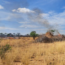 Piles of harvested wood burning in a dry savanna environment